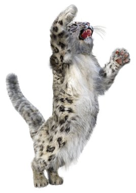 Beyaz zemin üzerinde izole edilmiş büyük bir kedi kar leoparının 3 boyutlu görüntüsü