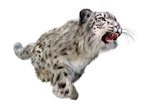 Representación Gran Leopardo Nieve Gato Aislado Sobre Fondo Blanco —  Fotos de Stock