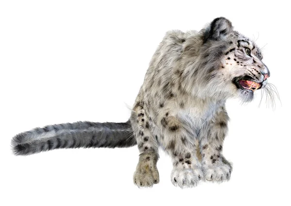 白色背景下孤立的大猫雪豹的3D渲染 — 图库照片