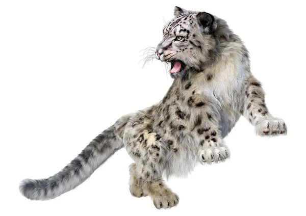 Representación Gran Leopardo Nieve Gato Aislado Sobre Fondo Blanco —  Fotos de Stock