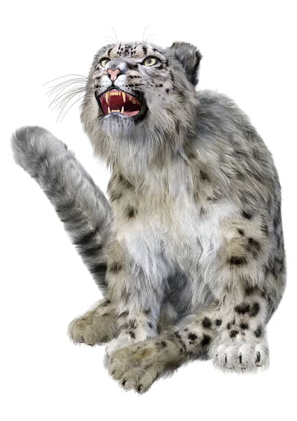 Rendering Einer Raubkatze Schneeleopard Isoliert Auf Weißem Hintergrund — Stockfoto