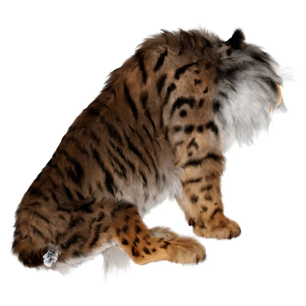 Vykreslení Šavlozubého Tygra Izolovaného Bílém Pozadí — Stock fotografie