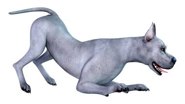 Beyaz arka plan üzerinde izole mavi bir Danua köpek 3D render