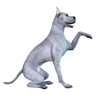 Beyaz arka plan üzerinde izole mavi bir Danua köpek 3D render