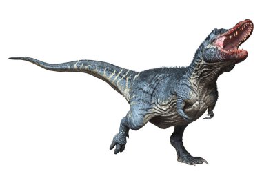 Beyaz zemin üzerinde izole edilmiş bir dinozor Tyrannosaurus Rex 'in 3D görüntüsü