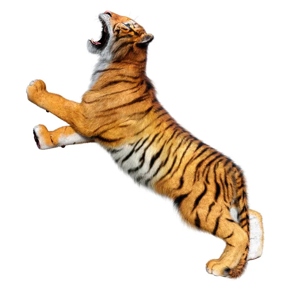 Vykreslení Velkého Kočičího Tygra Izolovaného Bílém Pozadí — Stock fotografie