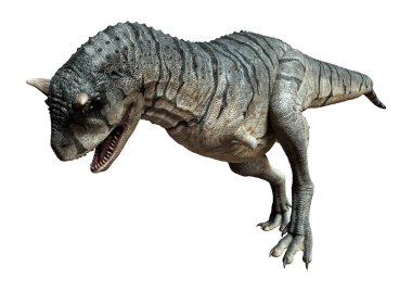 Üç boyutlu bir Carnotaurus Sastrei dinozoru ya da beyaz arka planda izole edilmiş et yiyen boğa tasviri.
