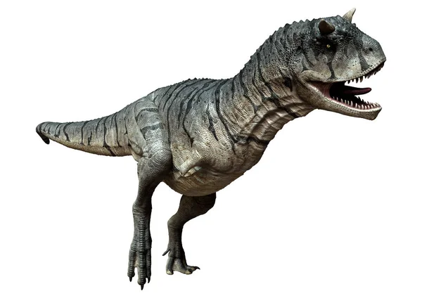Renderelés Carnotaurus Sastrei Dinoszaurusz Vagy Húsevő Bika Elszigetelt Fehér Alapon — Stock Fotó