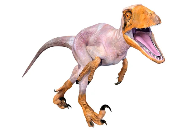 Renderização Dinossauro Deinonychus Antirrhopus Isolado Fundo Branco — Fotografia de Stock