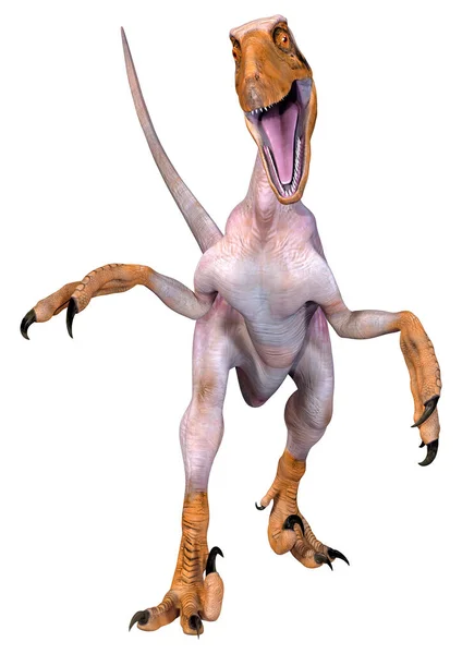 Beyaz Arka Planda Izole Edilmiş Bir Dinozor Deinonychus Antirrhopus Boyutlu — Stok fotoğraf