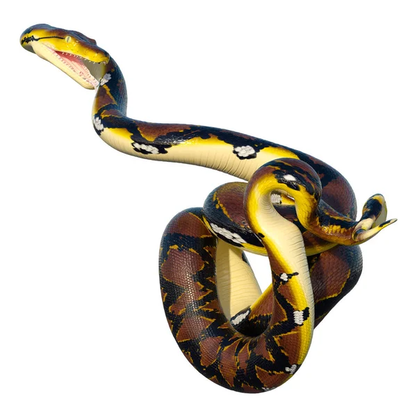 Rendering Reticulated Python Python Reticulatus Species Python Found Southeast Asia — Stock Photo, Image