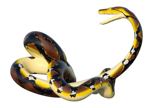 在东南亚发现的一种网状 Python Python Reticulatus 的渲染 — 图库照片