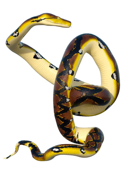 在东南亚发现的一种网状 Python Python Reticulatus 的渲染 — 图库照片