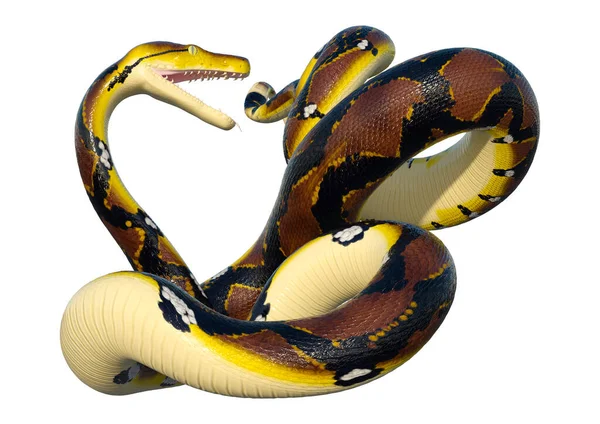 Рендерінг Сітчасті Python Або Пітон Сітчастий Видів Python Знайдені Південно — стокове фото