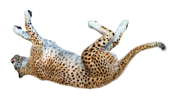 Rendering Eines Raubkatzengeparden Isoliert Auf Weißem Hintergrund — Stockfoto