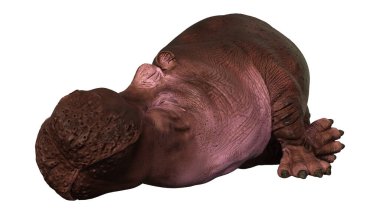 Beyaz arka planda izole edilmiş 3 boyutlu bir su aygırı görüntüsü