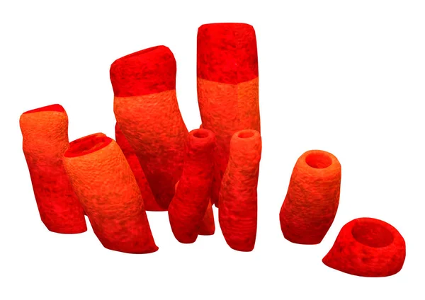 Рендеринг Красных Морских Труб Губки Изолированы Белом Фоне — стоковое фото