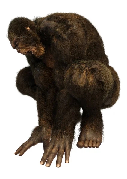 Desenho De Macaco Gibão De Mão Branca Bonito Sentado PNG , Animal