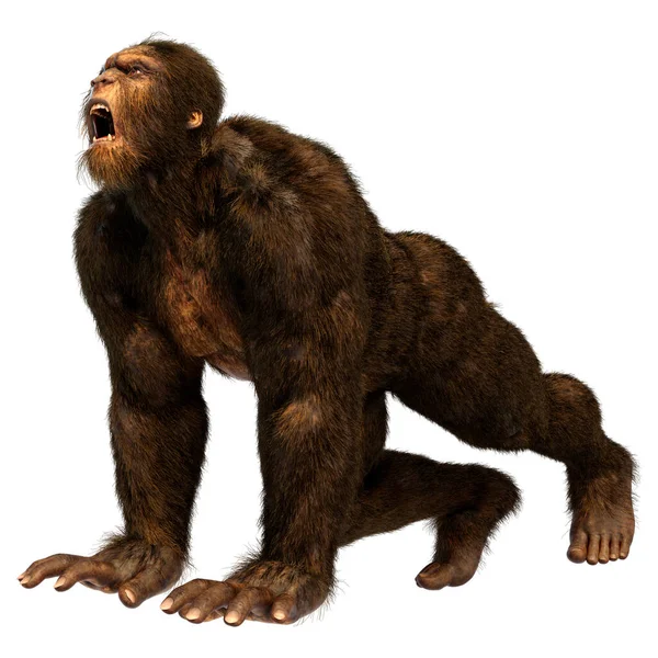 Rendering Einer Sasquatch Oder Bigfoot Isoliert Auf Weißem Hintergrund — Stockfoto