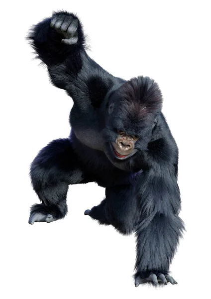 白色背景下孤立的黑色大猩猩猿的三维绘制 — 图库照片