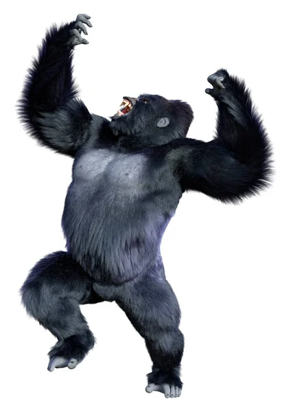 Rendering Eines Schwarzen Gorilla Affen Isoliert Auf Weißem Hintergrund — Stockfoto