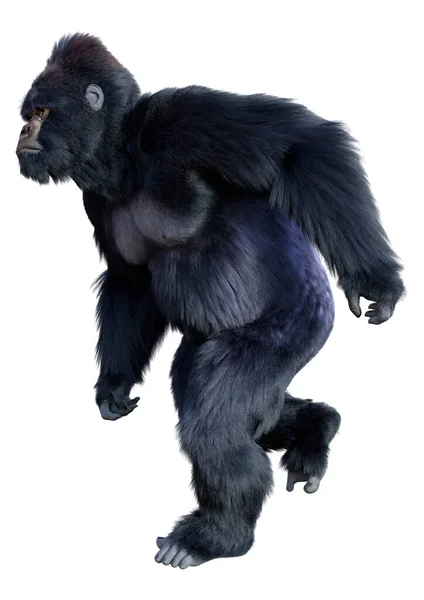 Rendering Eines Schwarzen Gorilla Affen Isoliert Auf Weißem Hintergrund — Stockfoto