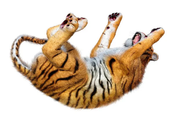 Renderelés Egy Nagy Macska Tigris Elszigetelt Fehér Háttér — Stock Fotó