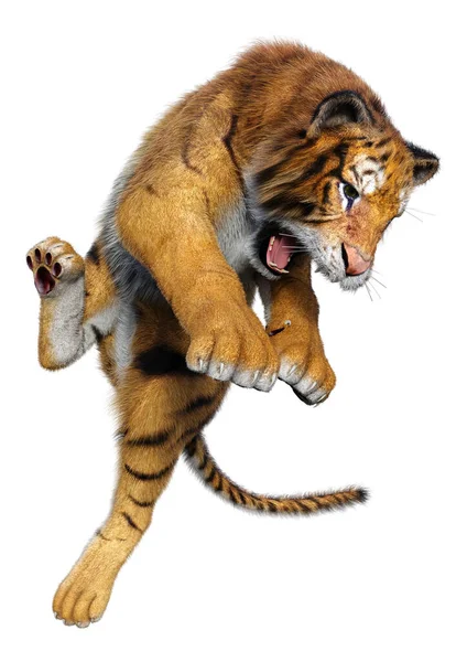 Rendering Una Grande Tigre Gatto Isolata Sfondo Bianco — Foto Stock