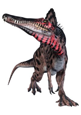 Spinosaurus beyaz arka plan üzerinde izole bir dinozor 3D render