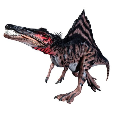 Spinosaurus beyaz arka plan üzerinde izole bir dinozor 3D render