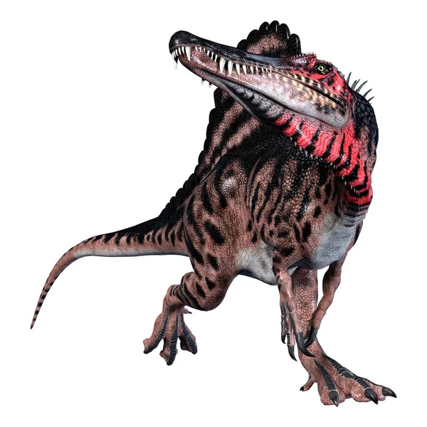 Weergave Van Een Dinosaurus Die Spinosaurus Geïsoleerd Witte Achtergrond — Stockfoto