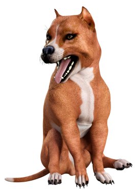 Beyaz arka planda izole edilmiş bir Amerikan pitbull teriyer köpeğinin 3 boyutlu görüntüsü