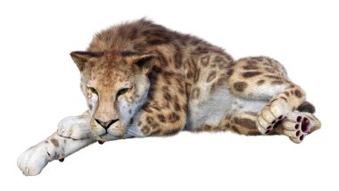 Kılıç dişli kaplanın 3 boyutlu görüntüsü beyaz arkaplanda izole edilmiş.