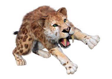 Kılıç dişli kaplanın 3 boyutlu görüntüsü beyaz arkaplanda izole edilmiş.