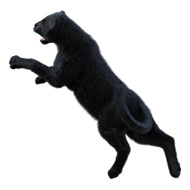 Beyaz arka planda izole edilmiş büyük bir kedi siyah panterinin 3 boyutlu görüntüsü