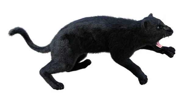 Representación Una Pantera Negra Gato Grande Aislada Sobre Fondo Blanco — Foto de Stock