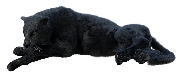 Rendering Einer Raubkatze Schwarzer Panther Isoliert Auf Weißem Hintergrund — Stockfoto