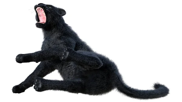 Rendering Einer Raubkatze Schwarzer Panther Isoliert Auf Weißem Hintergrund — Stockfoto
