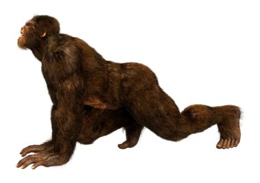 Beyaz arkaplanda izole edilmiş bir Koca Ayak veya Kocaayak 'ın 3B canlandırması