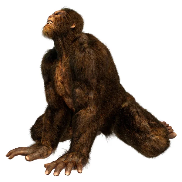 Rendering Sasquatch Bigfoot Isolato Sfondo Bianco — Foto Stock