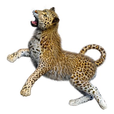 Beyaz arka planda izole edilmiş büyük bir kedi leoparının 3B görüntüsü