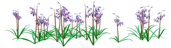Rendering Von Scilla Siberica Oder Sibirischer Quietsche Oder Holzquietsche Blüten — Stockfoto