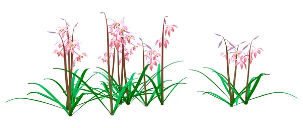 白い背景に隔離されたシラシベリカやシベリアの鎌や木のスキの花の3Dレンダリング — ストック写真