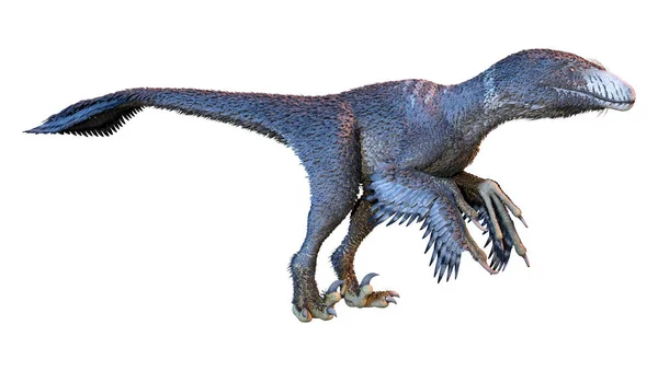 Рендеринг Динозавра Dakotaraptor Белом Фоне — стоковое фото