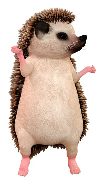 Rendering Hedgehog Dancing Isolated White Background — Stock Photo, Image