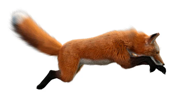 白い背景で隔離赤い狐の レンダリング — ストック写真