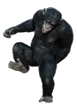 Beyaz arkaplanda izole edilmiş büyük siyah bir şempanzenin 3 boyutlu görüntülenmesi