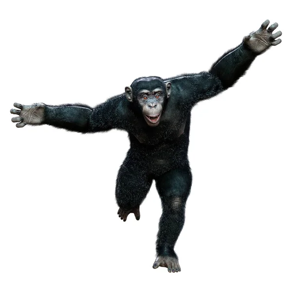 Renderização Grande Chimpanzé Preto Isolado Fundo Branco — Fotografia de Stock