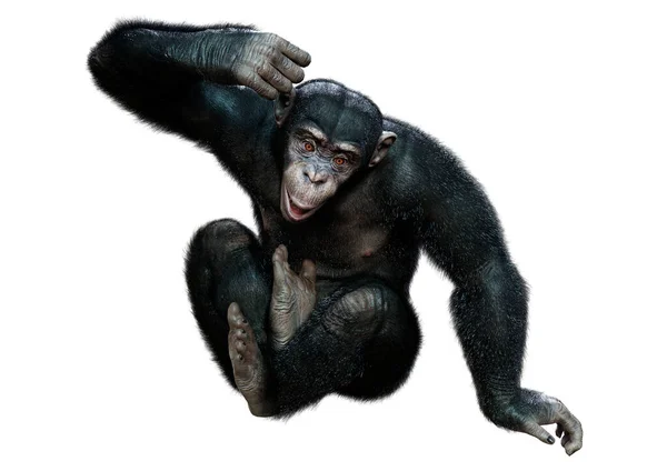 Rendu Grand Chimpanzé Noir Isolé Sur Fond Blanc — Photo