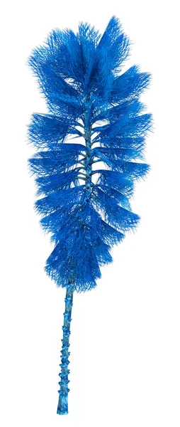 Beyaz Arkaplanda Izole Edilmiş Mavi Bir Fantezi Uzaylı Ağacının Boyutlu — Stok fotoğraf